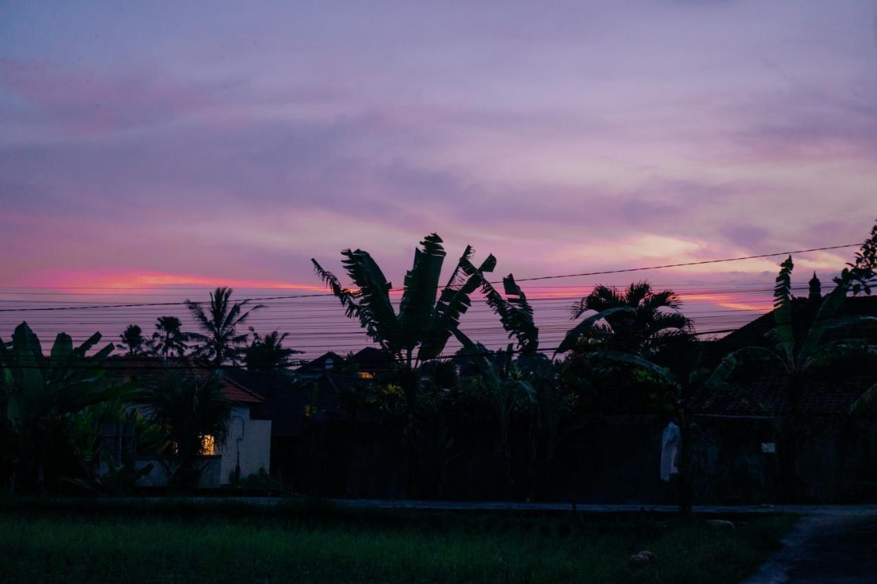Wita House Villa *