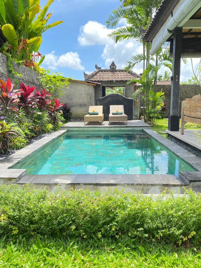 Wita House